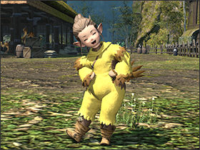 Chocobo Suit img1.png