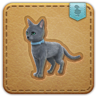 Bluecoat cat icon3.png