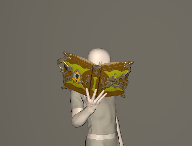 File:Gridanian Officer's Grimoire of Casting.jpeg