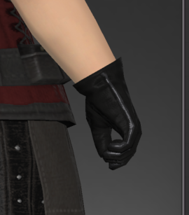 File:Lakeland Gloves of Healing 2.png