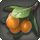 Loquat icon1.png
