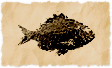 File:Sand bream.png