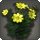 Yellow cosmos icon1.png