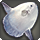 Silken sunfish icon1.png