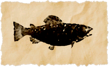 File:Driftdowns trout.png