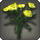 Yellow carnations icon1.png