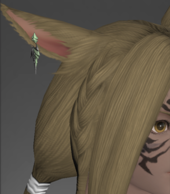 Augmented Eikonic Accessories Slaying