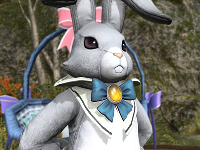Dapper Rabbit Suit2.jpg