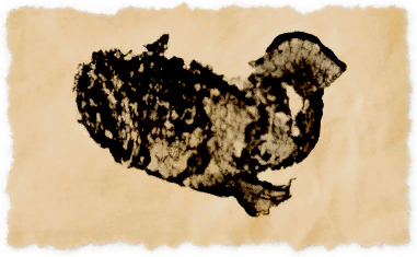 File:Stargazer (fish).png