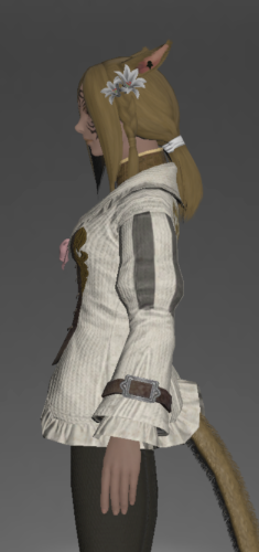 File:Aetherial Woolen Bliaud side.png