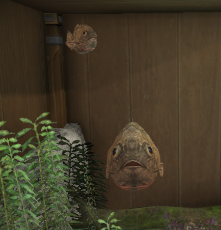 File:Rockfish tank 2.png