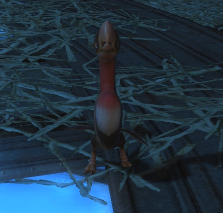 File:Zu Cockerel.jpg