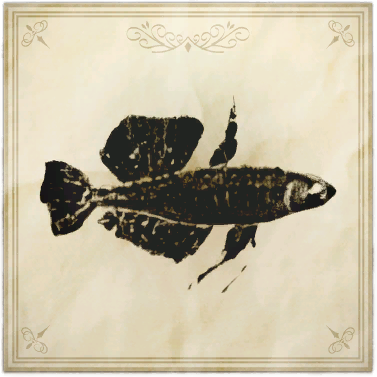 File:Fae rainbow.png