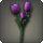 Purple tulips icon1.png