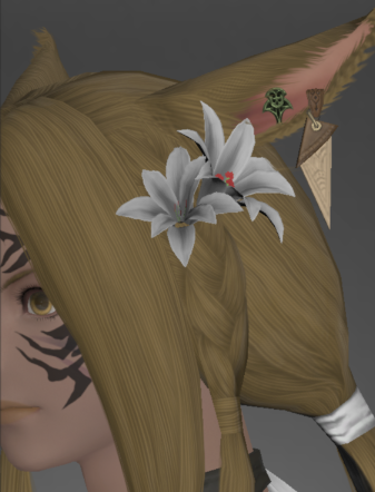 File:Alliance Earring of Slaying.png