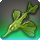 Ginkgo fin icon1.png