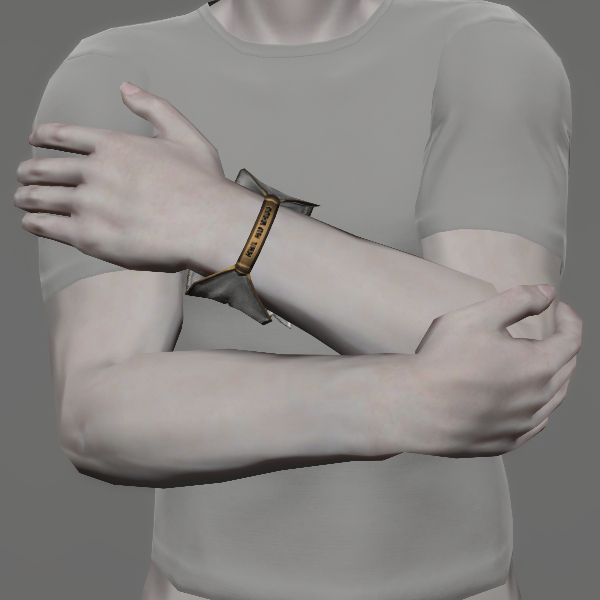 File:Etheirys Bracelet.jpeg