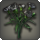 Black carnations icon1.png