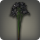 Black triteleias icon1.png
