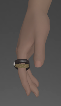 File:Nabaath Leather Ring of Healing front.png