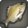 Sand bream icon1.png