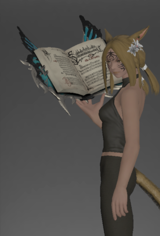 File:The King's Codex inside.png