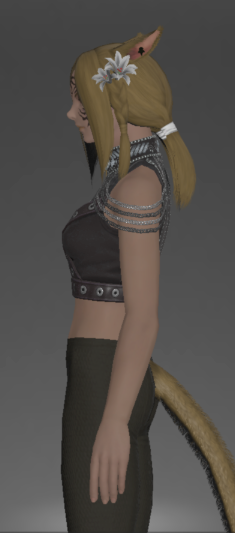 File:Critical Hit A-1 Tour Cropped Harness side.png