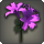 Purple brightlilies icon1.png