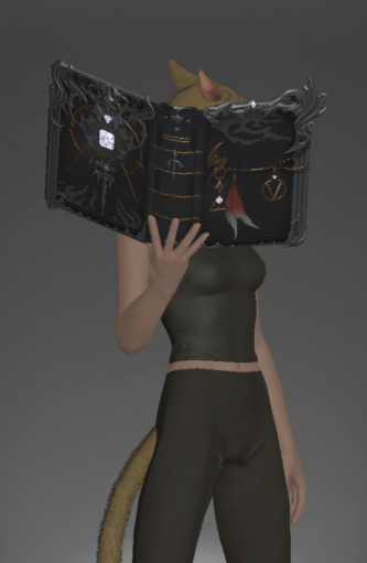 File:Diamond Grimoire outside.png