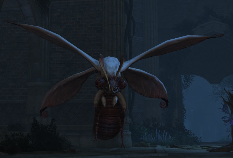 File:Ruins Wamoura.jpg