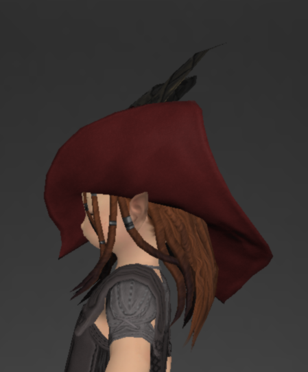 File:Tigerskin Tricorne of Scouting 2.png