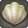 Faeshine clam icon1.png