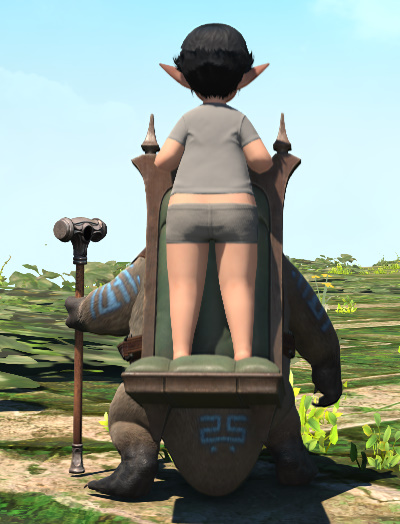 File:Duck-billed Porter Lalafell.jpg
