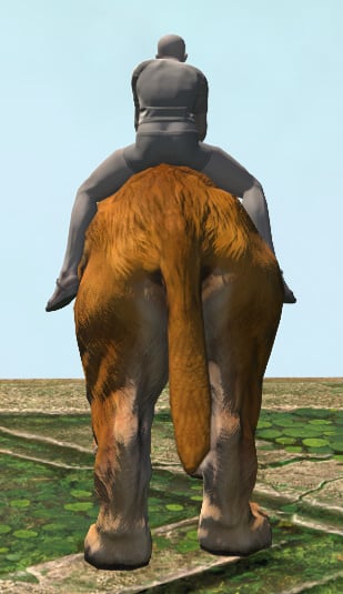 File:War Tiger rear.jpg