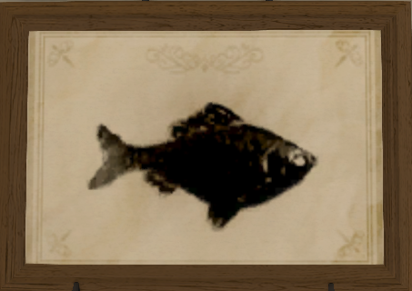 File:Hookstealer print.png