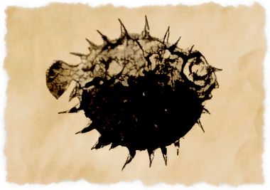 File:Bomb puffer.png