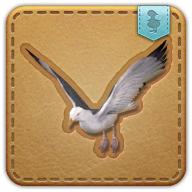 Gull icon3.png