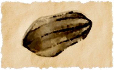 File:Wormhole worm.png