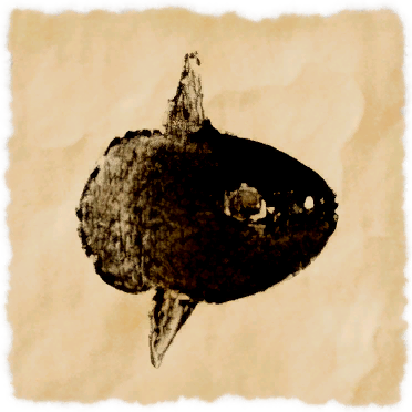File:Silken sunfish.png
