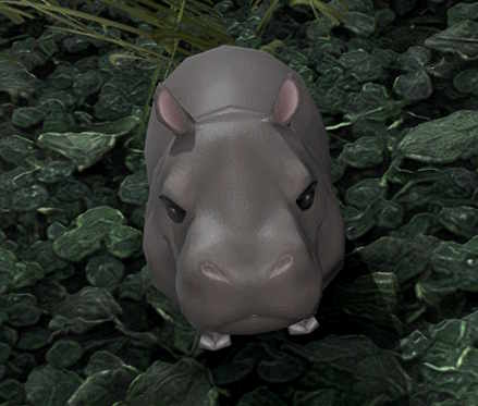 File:Shy Hippo Calf.jpg