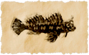 File:Red-spotted blenny.png