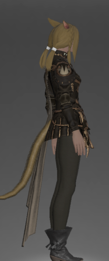 File:Augmented Lunar Envoy's Gambison of Maiming right side.png