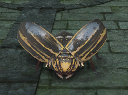 File:Bronze Beetle.jpg