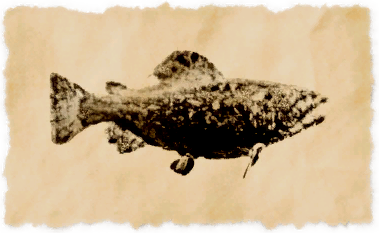 File:Princess trout.png