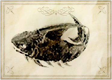 File:Snowy parexus.png