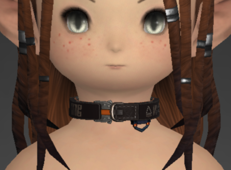 Cruiser Accessories / Babyface Champion's Accessories