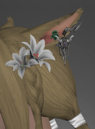 Ktiseos Accessories (Ktiseos Hyperboreia)