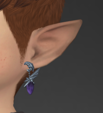 Horse Chestnut Accessories