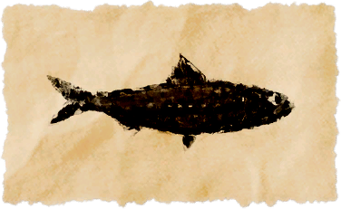File:Ghostfish.png