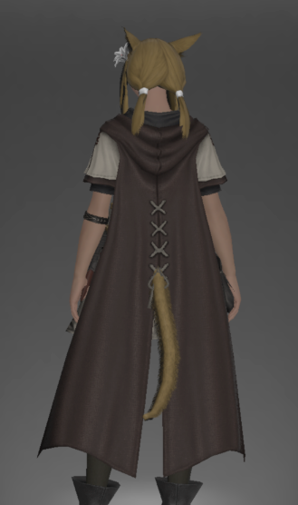File:Wayfarer's Tabard rear.png